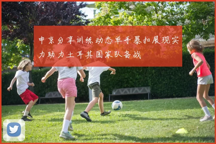 申京分享训练动态单手暴扣展现实力助力土耳其国家队备战